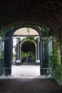 The lovely shady treillage