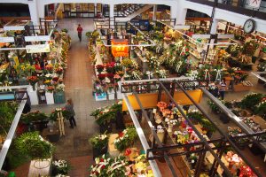 The flower stalls in The Market Hall