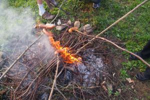 Polish sausages on the fire.