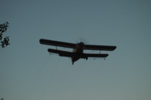 The Antonov bi-plane (or so I was told)