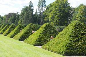 Playing peek-a-boo at the entrance to the botanic gardens